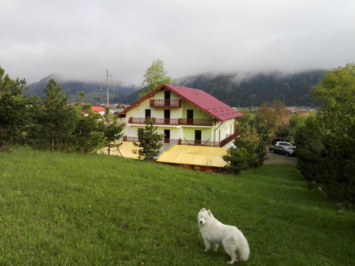 Grandemi Belvedere Bucovina Frasin Zewnętrze zdjęcie